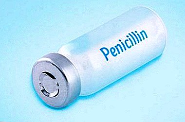 Metódy šľachtenia penicilínu pre kurčatá a kurčatá