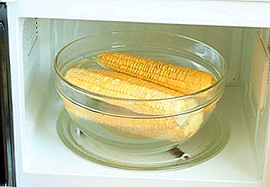 Top best recipes for cooking corn in the microwave at home