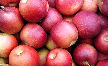 Прелепе јабуке са пријатном аромом пружиће вам разноликост Кореје