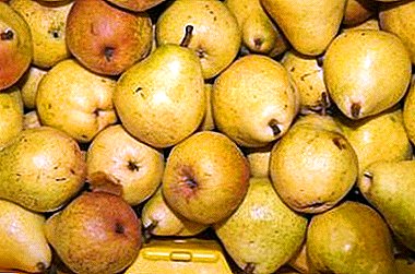 Taste familiar from childhood - pear "Lemon"