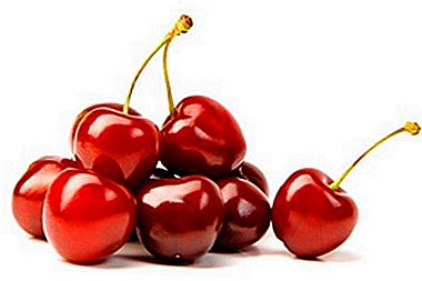 Delicious berries with a minimum of care - Cherry Youth