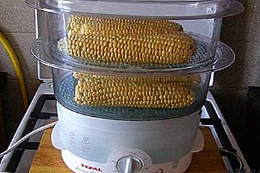 Delikate hurtige opskrifter til majs i en dobbeltkedel. Foto retter og madlavningstid