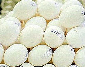鶏の卵を適切に保存する方法についてのすべてとそれらは前に洗浄することができますか？