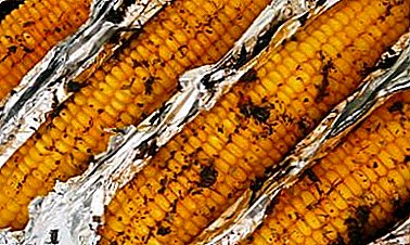 Viss par to, kā pagatavot kukurūzu cepeškrāsnī: pagrieziet vālīti par drausmīgu